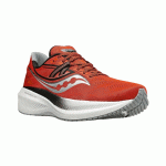 ساکونی تریامف saucony triumph 20 کد S20759-25 - Image 4