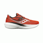 ساکونی تریامف saucony triumph 20 کد S20759-25
