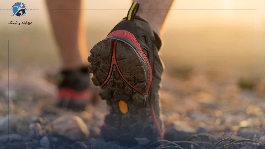 دلیل اهمیت زیره کفش چیست؟