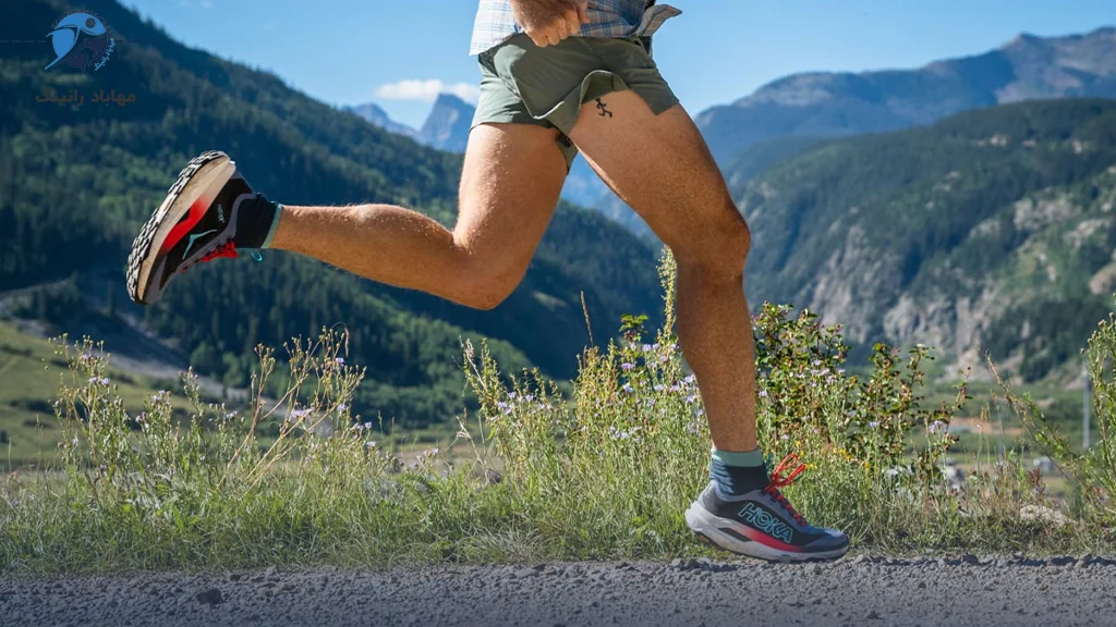 دوام و طول عمر