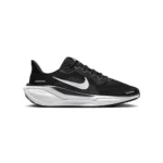نایک پگاسوس 41 nike pegasus کد FN5041-001
